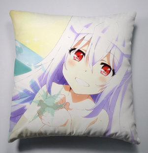 抱枕 艾拉 抱枕 可塑性记忆 giftia 动漫周边 游戏 节日 生日礼物