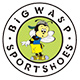 bigwasp大黄蜂盘古专卖店