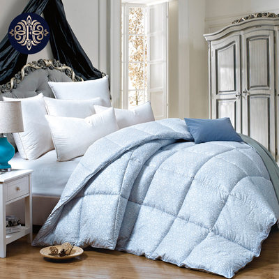 弗兰家纺 加厚冬被春秋被 单双人被芯学生丝棉被 太空被子包邮_不打折