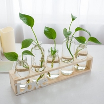 Creative hydroponic plant vase hipster personality ornaments green plant flower living room table ornaments ornaments