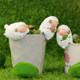 zakka creative pastoral mini lucky sheep climbing cylinder small animals home gardening succulent flower pot decoration small ornaments zakka creative pastoral mini lucky sheep climbing cylinder small animals home gardening succulent flower pot decoration small ornaments