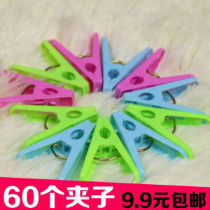 包邮60只装强力防风内衣夹小夹子夹袜子塑料晾衣服文件分类单据夹