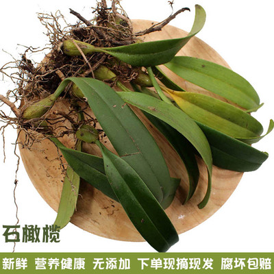 石橄榄 单叶 石仙桃双叶石豆兰岩新鲜 珠岩豆 500g图片