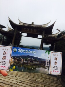 福建三明清流桂花之乡 旅游景点中华桂花文化