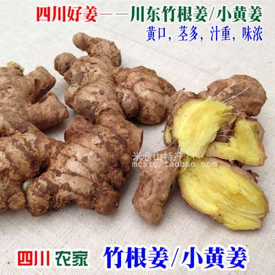 四川生姜黄姜姜250克川东农月子粉条姜种老姜包子特产姜土姜川姜家小萝卜猪肉馅竹根图片