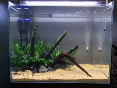 鱼缸底砂过滤设计图