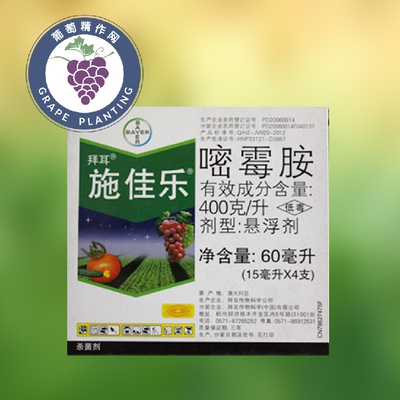 拜耳施佳乐 40%嘧霉胺 番茄黄瓜葡萄灰霉病早疫病进口杀菌剂15ml