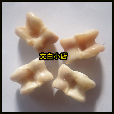 羊骨头子玩具