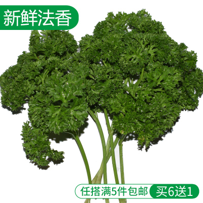 新鲜蔬菜 法香 荷兰芹 洋芫荽 番茜 番荽 新鲜配菜 250g