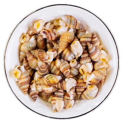 海锥即食麻辣大连