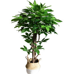 New simulated money tree bonsai real L tree pole environmentally friendly artificial plants floor-standing home scenery flowers home flowers