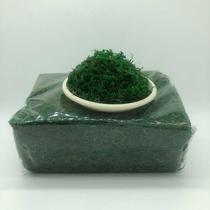 Spot materials accessories simulated fake grass q landscape micro moss dyed flowers flowers dried camellia paving water grass moss