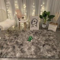 Nordic living room carpet Bedroom bedside carpet Cute floor mat Tatami thickened plush net red with the same full bunk room