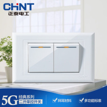 Zhengtai 118 Type Switch Socket Panel Wall 2 Position Two Open Three 45 Six Eight opening single Double control rectangular concealed