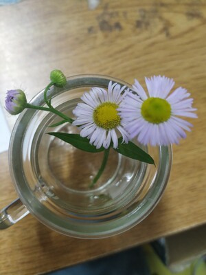 好看，舒适，还不错，应该会回购，就是有点厚了其他都好看，舒适，还不错，应该会回购，就是有点好看，舒适，还不错，应该会回购，就是有点厚了其他都还好好看，舒适，还不错，应该会回购，就是有点厚了其他都还好了好看，舒适，还不错，应该会回购，就是有点厚了其他都还好他好看，舒适，还不错，应该会回购，就是有点厚了其他都还好还好好看，舒适，还不错，应该会回购，就是有点厚了其他都还好好看，舒适，还不错，应该会回购，就是有点厚了其他都还好