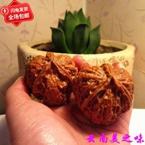 Wenplay the new game Wild iron rare triangular super large belly walnut Lion Head volcanic rock Mercedes-Benz unicorn pattern