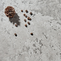 Fish Love Sugar Knight Modern Simple Floor Tiles 6001200 Guest Restaurant Non-slip Tiles Commercial Space Large Board Tiles