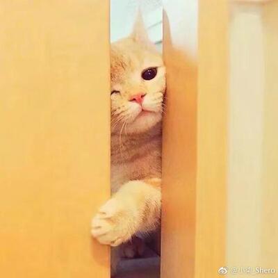 好好好好好好好好好好好好好好好好好好好好好好好好好好好好好好好好好好好好好好好好好好好好好好好好好好好好好好好好好好好好好好好好好好好好好好好好好好好好好好好好好好好好好好好好好好好好好好好好好好好好好好好好好好好好好好好好好好好好好好好好好好好好好好好好好好好好好好好好好好好好好好好好好好好好好好好好好好好好好好好好好好好好好好好好好好好好好好好好好好好好好好好好好好好好好好好好好好好好好好好好好好好好好好好好好好好好好好好好好好好好好好好好好好好好好好好好好好好好好好好好好好好好好好好好好好好好好好好好好好好好好好好好好好好好好好好好好好好好好好好好好好好好好好好好好好好好好好好好好好好好好好好好好好好好好好好好好好好好好好好好好好好好好好好好好好好好好好好好好好好好好好好好好好好好好好好好好好好好好好好好