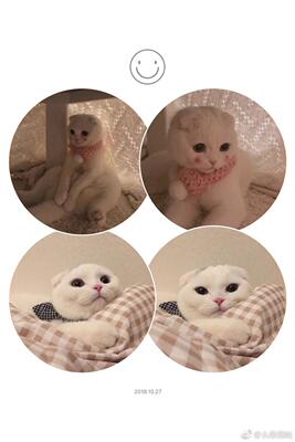 好好好好好好好好好好好好好好好好好好好好好好好好好好好好好好好好好好好好好好好好好好好好好好好好好好好好好好好好好好好好好好好好好好好好好好好好好好好好好好好好好好好好好好好好好好好好好好好好好好好好好好好好好好好好好好好好好好好好好好好好好好好好好好好好好好好好好好好好好好好好好好好好好好好好好好好好好好好好好好好好好好好好好好好好好好好好好好好好好好好好好好好好好好好好好好好好好好好好好好好好好好好好好好好好好好好好好好好好好好好好好好好好好好好好好好好好好好好好好好好好好好好好好好好好好好好好好好好好好好好好好好好好好好好好好好好好好好好好好好好好好好好好好好好好好好好好好好好好好好好好好好好好好好好好好好好好好好好好好好好好好好好好好好好好好好好好好好好好好好好好好好好好好好好好好好好好好好好好好好好好