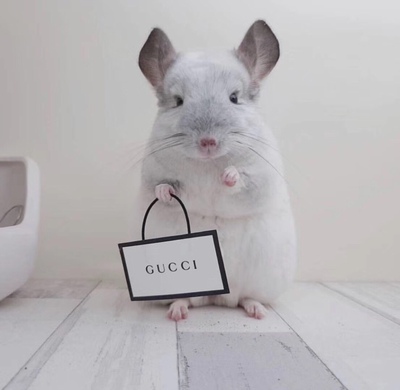 各位小仙女~~这是一个好评模板,不要看了下面都是废话。因为本仙女很懒不想每个宝贝都写好评,所以才模仿网友的好评模板,但是这个宝贝不管是质量还是款式都是本仙女喜欢的~~如果不喜欢、本仙女收到会很生气然后这个模板就会变成各种喋喋不体的吐槽,自然不会撒下这个好评给各位淘友一个参考。本宝贝还是极好的,来自一位懒省事的只爱购物不爱写评论只想换积分的仙女~~ 各位小仙女~~这是一个好评模板,不要看了下面都是废话。因为本仙女很懒不想每个宝贝都写好评,所以才模仿网友的好评模板,但是这个宝贝不管是质量还是款式都是本仙女喜欢的~~如果不喜欢、本仙女收到会很生气然后这个模板就会变成各种喋喋不体的吐槽,自然不会撒下这个好评给各位淘友一个参考。本宝贝还是极好的,来自一位懒省事的只爱购物不爱写评论只想换积分的仙女~~