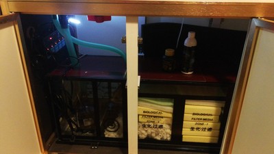 真实使用感受给家里添个德克鱼缸水族箱怎么样,上档次吗,显得有品味吗