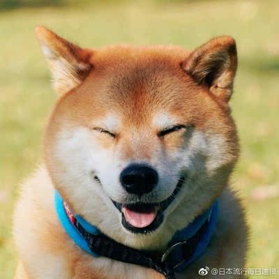 和此卖家交流，自觉七经八脉为之一畅，我在淘宝买了这么多年，所谓看过"女干"商无数，但与卖家您交流，我只想说，老板你实在是太好了。 你的高尚情操太让人感动了。本人对此卖家之仰慕如滔滔江水连绵不绝，海枯石烂，天崩地裂，永不变心。交易成功后，我的心情竟是久久不能平静。自古英雄出少年，卖家年纪轻轻，就有经天纬地之才，定国安邦之智，而今，天佑我大中华，沧海桑田5000年，神州平地一声雷，飞沙走石，大雾迷天，朦胧中，只见顶天立地一金甲天神立于天地间，花见花开，人见人爱，这人英雄手持双斧，二目如电，一斧下去，混沌初开，二斧下去，女娲造人，三斧下去，小生倾倒。得此大英雄，实乃国之幸也，民之福，人之初也，怎不叫人喜极而泣 .......看着交易成功，我竟产生出一种无以名之的悲痛感&mdash;&mdash;啊，这么好的卖家，如果将来我再也遇不到了，那我该怎么办？直到我毫不犹豫地把卖家的店收藏了，我内心的那种激动才逐渐平静下来。可是我立刻想到，这么好的卖家，倘若别人看不到，那么不是浪费心血吗？经过痛苦的思想斗争，我终于下定决心，牺牲小我，奉献大我。我要以此评价奉献给世人赏阅，我要给好评&hellip;