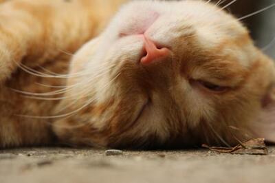 因为本仙女很懒，不想每一件商品都一样一样地去写好评，所以特意写了这样一个评论。但是这件商品无论是质量、材质还是款式，肯定都是本仙女所中意的，如果本仙女不喜欢的话，本仙女收到货肯定是会很生气的，很气很气的那种哦。不然这个评论肯定会变成那种喋喋不休，怨气横生，怨天怨地的那种。最后当然不可能忘了给这件商品一个好评，给各位爱淘宝的宝宝们一个购物参考，这个产品还是非常值得购买的！ 祝看到这条评论的各位小仙女们永远年轻漂亮美丽大方，永远都是16岁