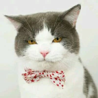 杯超小 所以不会空杯😳😳😳 好看 就是收不住副乳