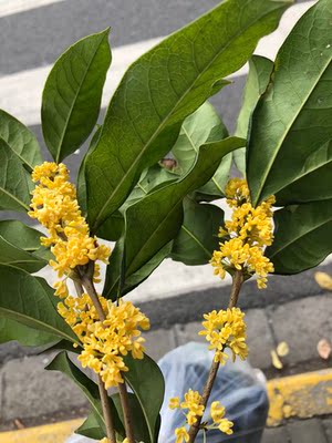 适合小胸吧，有点小，便宜不退了