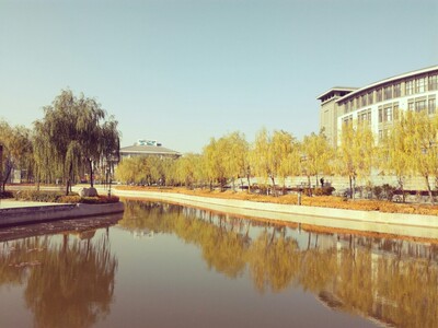 味道，塑料味道还是什么味道很大，但是大小什么都蛮合适，这个价钱还是可以的。  孤独与喧嚣无关，摩肩接踵的人群，演绎着身外的花开花谢，没谁陪你挥别走远的流年。孤独与忙碌迥异，滚滚红尘湮没了心境，可少了终点的奔波，人生终究一样的苍白。当一个人成长以后，在他已经了解了世界不是由鲜花和掌声构成之后，还能坚持自己的梦想，多么可贵。