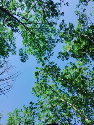 这是一个好评模板，不要看了下面都是废话。因为本仙女很懒不想每个宝贝都写好评所以才模仿网友的好评模板，但是这个宝贝不管是质量还是款式都是本仙女喜欢的如果不喜欢本仙女收到会很生气然后这个模板就会变成各种喋喋不体的吐槽，自然不会撒下这个好评给各位淘友一个参考。本宝贝还是极好的，来自一位懒省事的只爱购物不爱写评论只想换积分的仙女