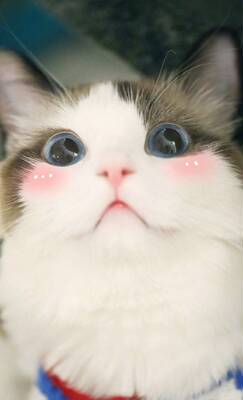 其实一般般哦，不是很舒服！有点勒