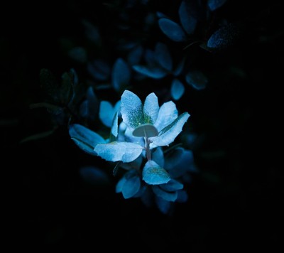 目前看来洁婷卫生巾质量怎么样，透过五个月使用看真相