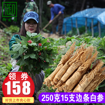 (250 grams of white ginseng) raw sun-dried ginseng northeast Jilin Changbai Mountain ginseng fresh ginseng wine soup