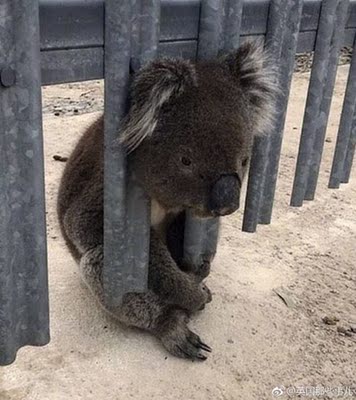 非常好，黑色的很显瘦，虽然不是扣的那种的但是也很好穿，下面的蕾丝也不粗糙，穿上以后还挺舒服的。薄，适合夏天用。非常好，黑色的很显瘦，虽然不是扣的那种的但是也很好穿，下面的蕾丝也不粗糙，穿上以后还挺舒服的。薄，适合夏天用。非常好，黑色的很显瘦，虽然不是扣的那种的但是也很好穿，下面的蕾丝也不粗糙，穿上以后还挺舒服的。薄，适合夏天用。