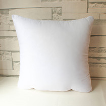 Scrub printed pillow core 450g