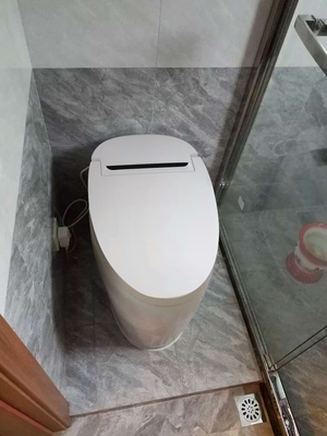 大家谈谈优缺点评测：玛萨帝智能马桶怎么样，揭秘到底好不好用？