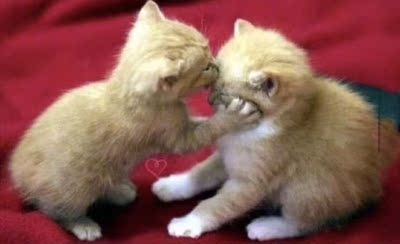 巨好看哈哈哈哈哈哈哈哈哈哈哈哈哈哈哈哈哈哈哈巨好看哈哈哈哈哈哈哈哈哈哈哈哈哈哈哈哈哈哈哈巨好看哈哈哈哈哈哈哈哈哈哈哈哈哈哈哈哈哈哈哈巨好看哈哈哈哈哈哈哈哈哈哈哈哈哈哈哈哈哈哈哈巨好看哈哈哈哈哈哈哈哈哈哈哈哈哈哈哈哈哈哈哈巨好看哈哈哈哈哈哈哈哈哈哈哈哈哈哈哈哈哈哈哈巨好看哈哈哈哈哈哈哈哈哈哈哈哈哈哈哈哈哈哈哈巨好看哈哈哈哈哈哈哈哈哈哈哈哈哈哈哈哈哈哈哈