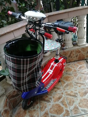 体验raldey电动车怎么样,这个是什么牌子?电池续航能力好吗?