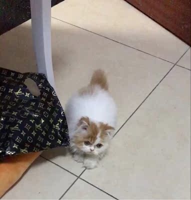 内衣很好，穿着很舒服，很喜欢~就不上图了~无差