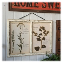 Export of solid wood to do the old ultra-realistic plant specimens wood prints rural style Literary style