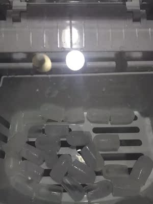 吐槽大曝光沃拓莱制冰机怎么样，质量好吗，用后一周感受分享