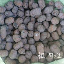 Green plant nutrient solution universal indoor fertilizer succulent plant paving nutrition soil flower potted household