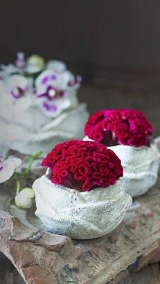 很喜欢，这是第二次购买了，需要的亲们，可以下手