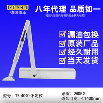 Gaize TS-4000 Door Closer Fireproof Automatic Door Closer Hydraulic Buffer Non-Positioning Closer 160KG
