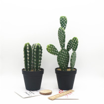 ins style simple potted childrens photography props simulation cactus plant wedding photography fashion personality shooting