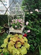 Muzi Ge iron flower stand bird cage type iron flower stand iron flower pot gardening home wedding ornaments old