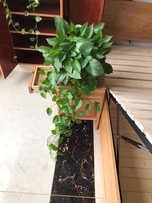 揭秘老公背着我买了原始原素家具怎么样,这家具是真实木吗