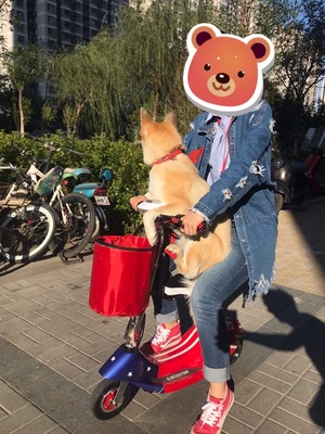 【揭秘】emicro小海豚电动车怎么样,适合女生吗?电池续航能力好吗