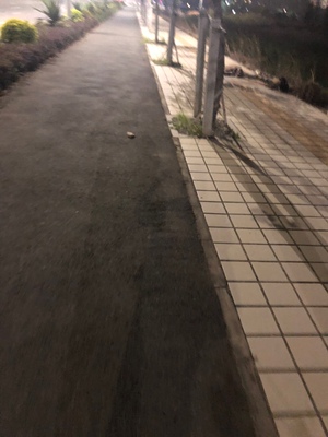 买第二次了 简直是我的救星 终于找到穿上显胸小的内衣了 太开心！太好看了吧！太好看了吧！太好看了吧！太好看了吧！太好看了吧！太好看了吧！太好看了吧！太好看了吧！太好看了吧！太好看了吧！太好看了吧！太好看了吧！太好看了吧！太好看了吧！太好看了吧！太好看了吧！太好看了吧！太好看了吧！